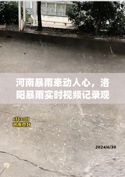 河南暴雨牵动人心,洛阳暴雨实时视频记录观察