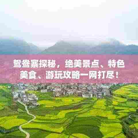 鸳鸯寨探秘,绝美景点、特色美食、游玩攻略一网打尽!
